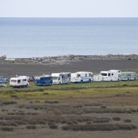 Campervans at Whakamahia Beach
