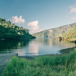 Rosie Bay - view of the Lake